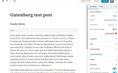 WordPress 5.0 Gutenberg Update