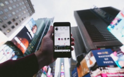 Portal Creates… new social media accounts.