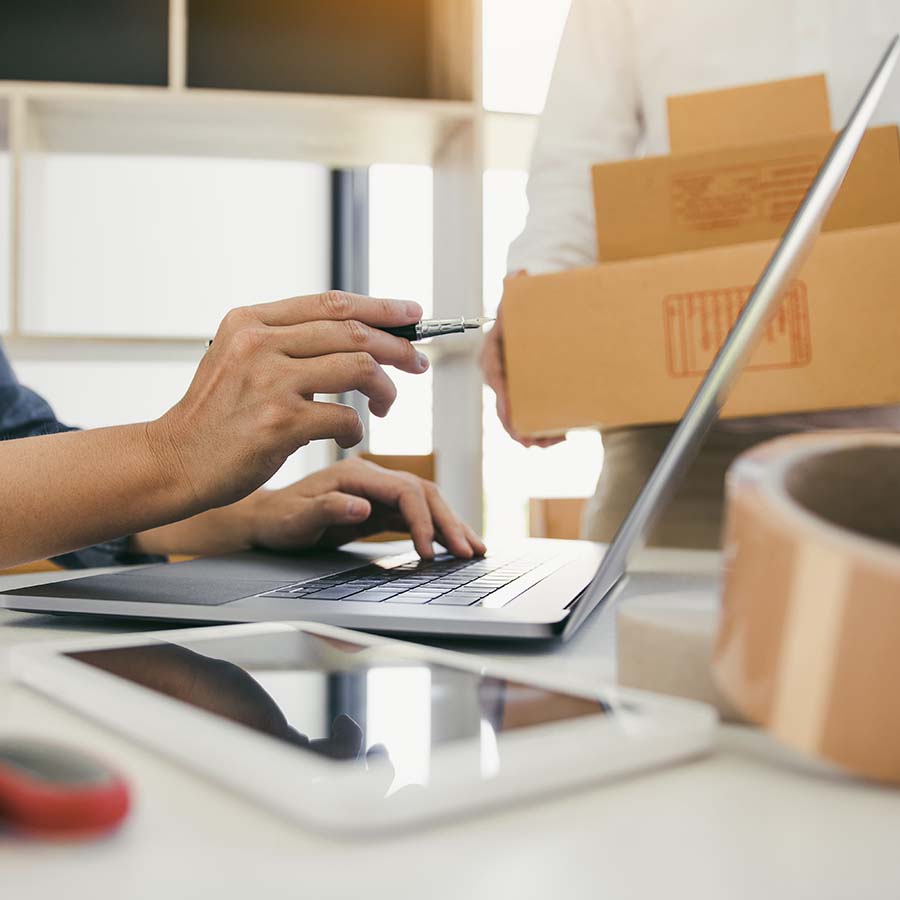 Fully Functional eCommerce Websites